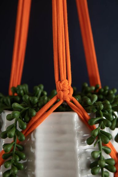 Detail of orange  Macrame Plant hanger with trailing plant photographed by Elizabeth Wood, a Leeds-based product photography expert.